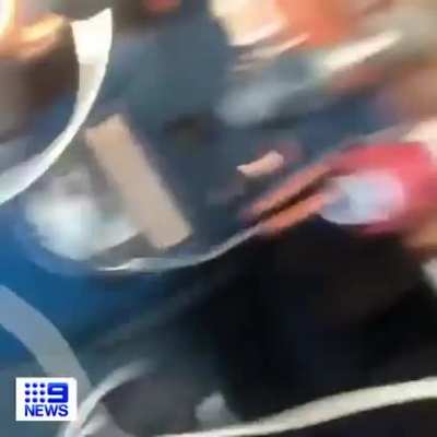 Large spider falls on Australian pilot while he&rsquo;s landing the plane