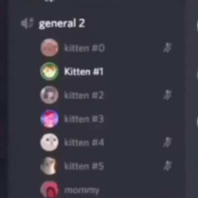 discord vc ☕