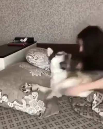 &ldquo;STOP HUGGING ME!&rdquo; *stops hugging* &ldquo;Why did you stop hugging?&rdquo;