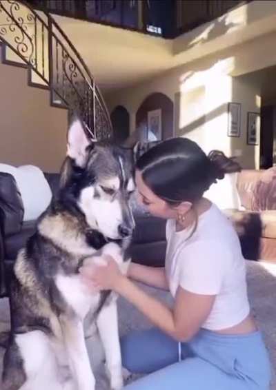 What the heck?!