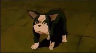 What the dog doin?