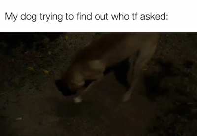 That&rsquo;s cool but...