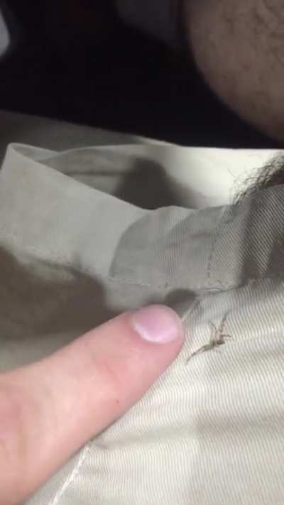I just wanted to pet it&hellip;