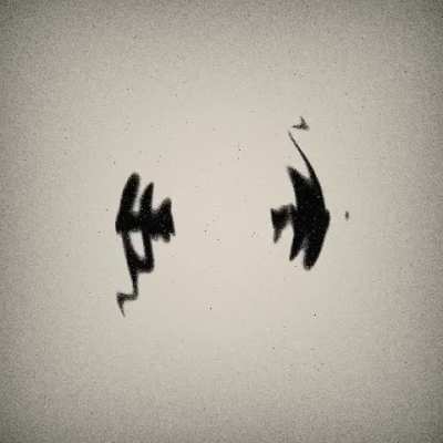 [A] Ripples in a Pond