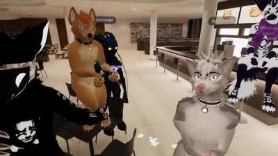 furry_irl