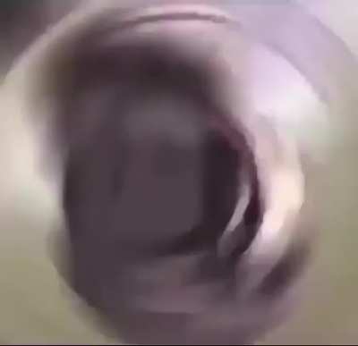 Edit merda como sempre