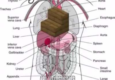 my hearts a stair