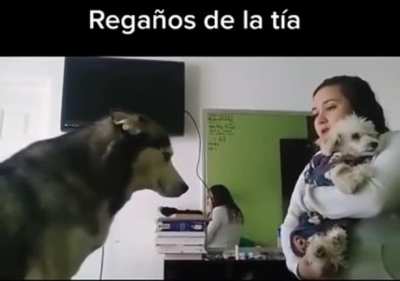 Pobrecito Tom&aacute;s 😢