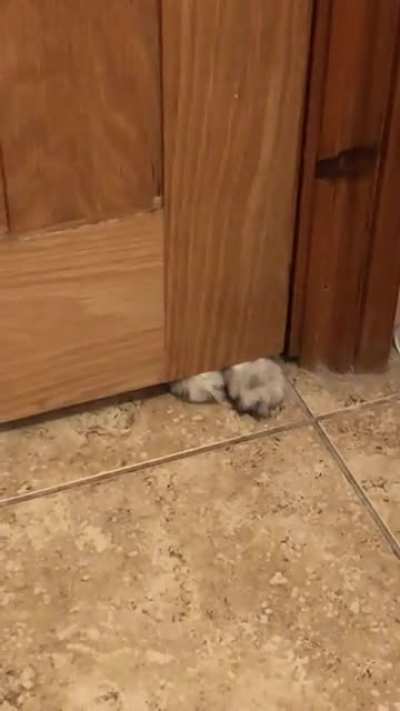 Can&rsquo;t even pee in peace&hellip;