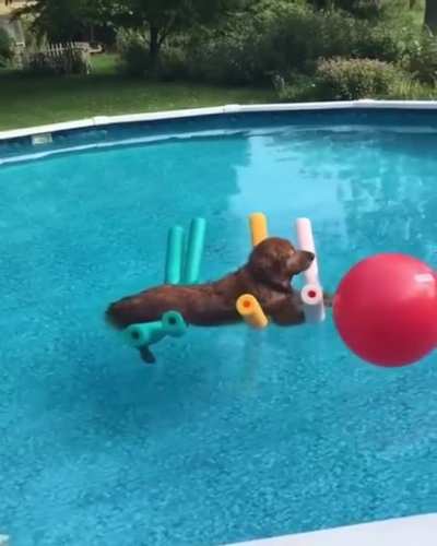 Woof irl