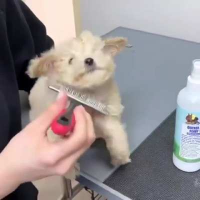 Shower time