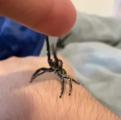 Please may I up