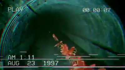 not the cockroaches again