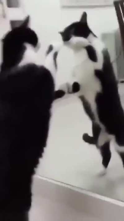Doppelg&auml;nger