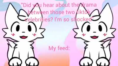 Literally my whole feed