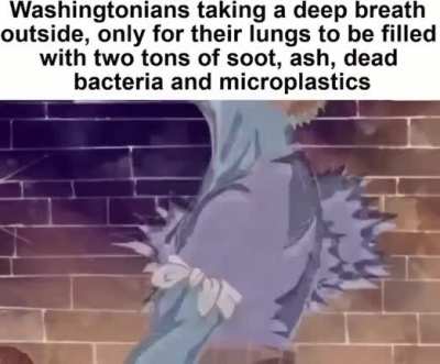 😶&zwj;🌫️