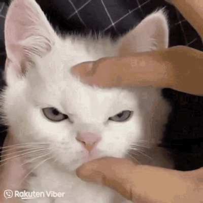 "Harrumph I say. HARRUMPH!"