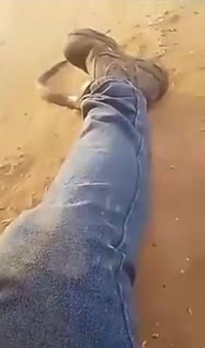 Australia 101