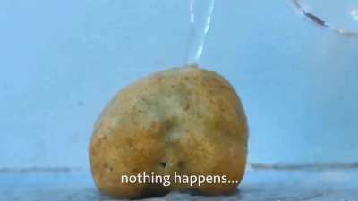 this is a rock