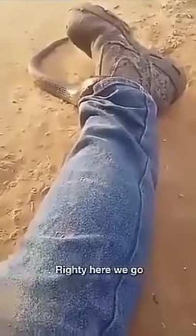 Try not to move