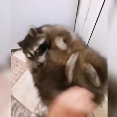 Дай пожмякаю