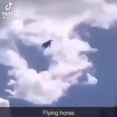 &iquest;Juan? PD: Ignoren el logo de Tik Tok
