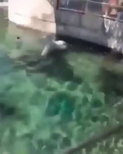 Does this count?