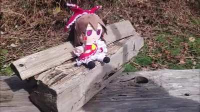 Rip fumo