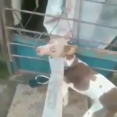 Encara filha da m&atilde;e!