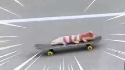 Fast and Peludito