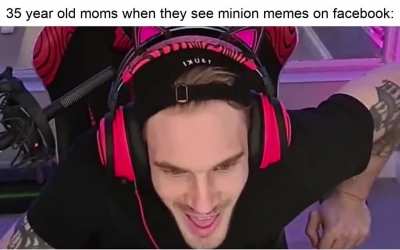 Please not the minion memes