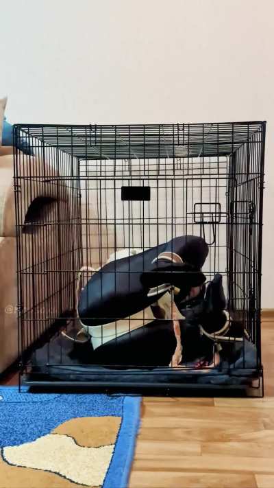 Past experience has taught me that when I’m bound in a straitjacket, the only way to get out of a cage is ass first