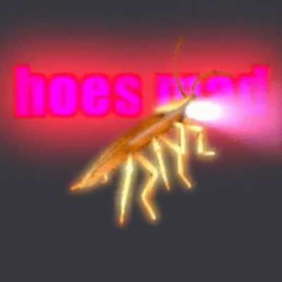 amën bröthers