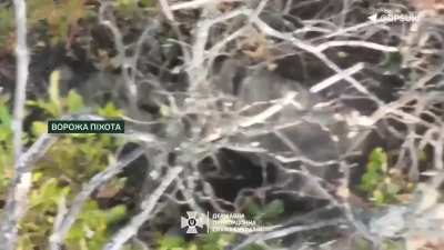 Ukrainian Border Guards (DPSU) 