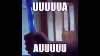 UUUUUA AUUUUU
