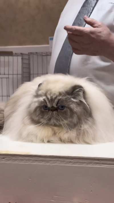 Floof for days 