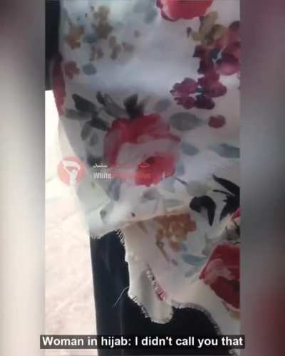 "This is a women's park, not a whore house, put on your hijab!" Even in a women's park, Iranian women get harassed about hijab!