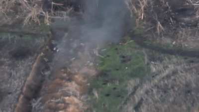Ukrainian units eliminate Russian infantry in Zaporizhzhia &amp;amp; Donetsk using drones (65 OMBr, 79 OSHBr &amp;amp; Shadow division)