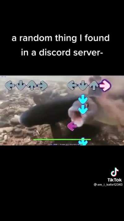 Can&rsquo;t stop watching this vid 😂