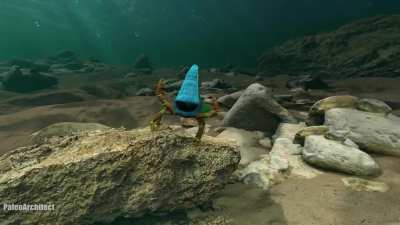 Approaching a group of Ainiktozoons in the Silurian sea