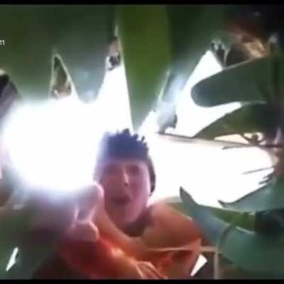 Crikey there he is!