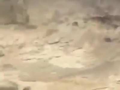 [Kan var a&ccedil;mayın] şu amk s&uuml;r&uuml;ngenleri iyi ki silinmiş d&uuml;nyadan