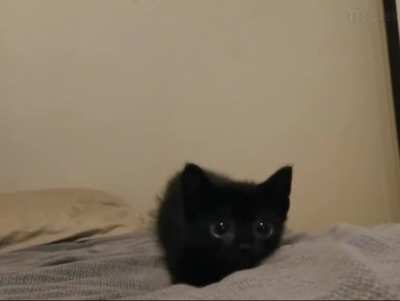 He's so cute)