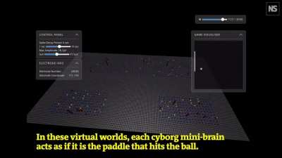 Scientists have successfully taught a collection of human brain cells in a petri dish how to play the video game &ldquo;Pong&rdquo;