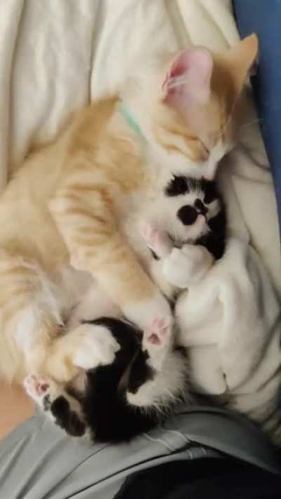 So Precious &hearts;️