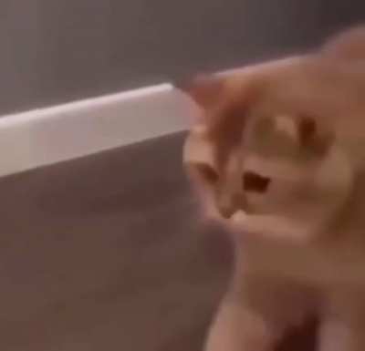 Cursed_Snack