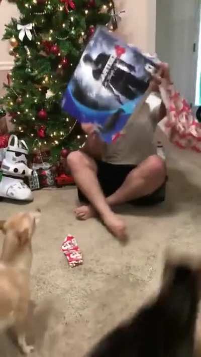 Hit cat goes for the kill while the target is distracted