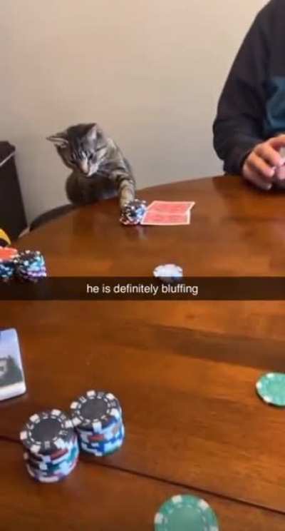 All in
