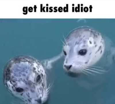 &amp;gt;:)