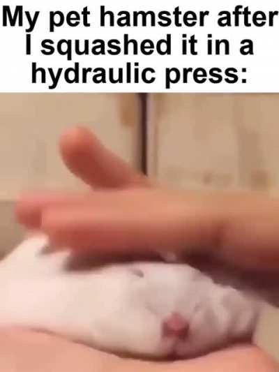 rule